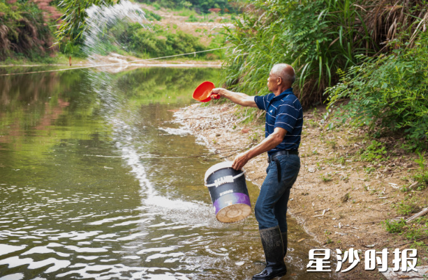 师伟正在泼洒抗应激溶液，降低澳洲淡水龙虾应激概率。