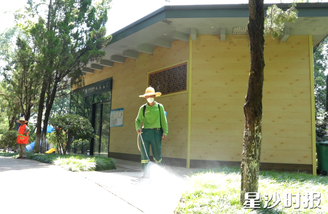 园林工人在公共厕所周边进行细致消杀。