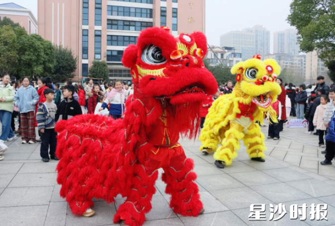长沙市百熙实小校门前锣鼓喧天,两头精神抖擞的南狮踩着铿锵鼓点腾跃入场。 长沙市百熙实小校门前锣鼓喧天,两头精神抖擞的南狮踩着铿锵鼓点腾跃入场。