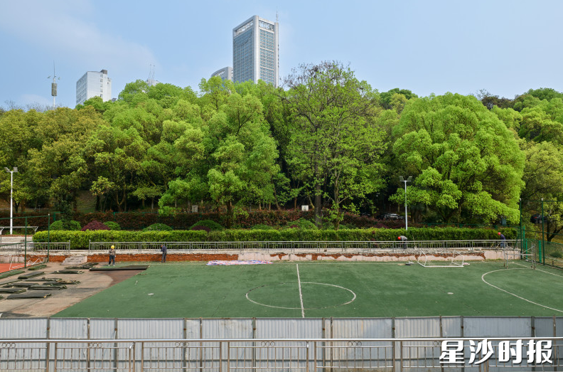 施工人员对老旧小区足球场草皮进行更换。