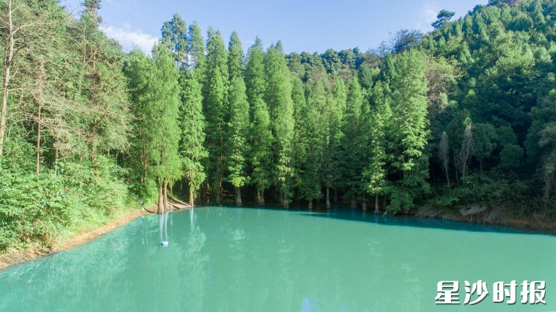 大山冲森林公园。