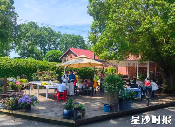 游客在十亩之间多肉大院游玩参观。高桥镇供图