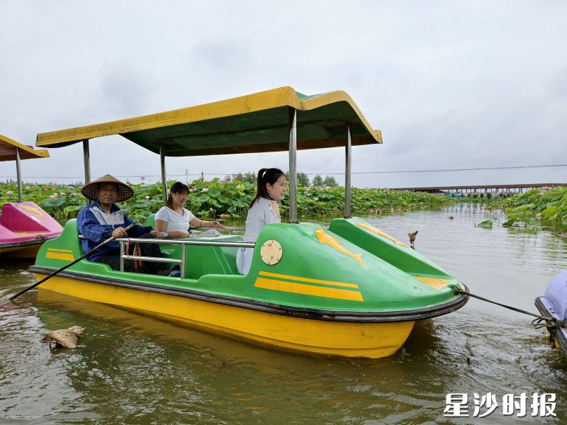 春华镇花园新村群益荷花园内，游客乘船畅游，观景、赏荷、采摘莲蓬，兴致盎然。荷花园供图