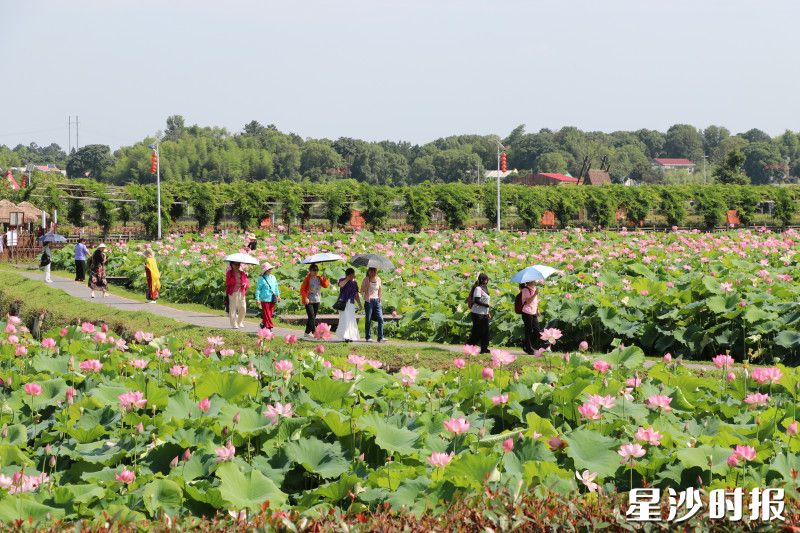 长龙街道同汇长龙生态欢乐园，游客络绎不绝。林畅 摄