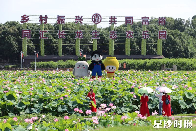 不少游客身着红裙穿行花间，或是俯身细赏盛放荷苞，或是驻足拍照。林畅 摄