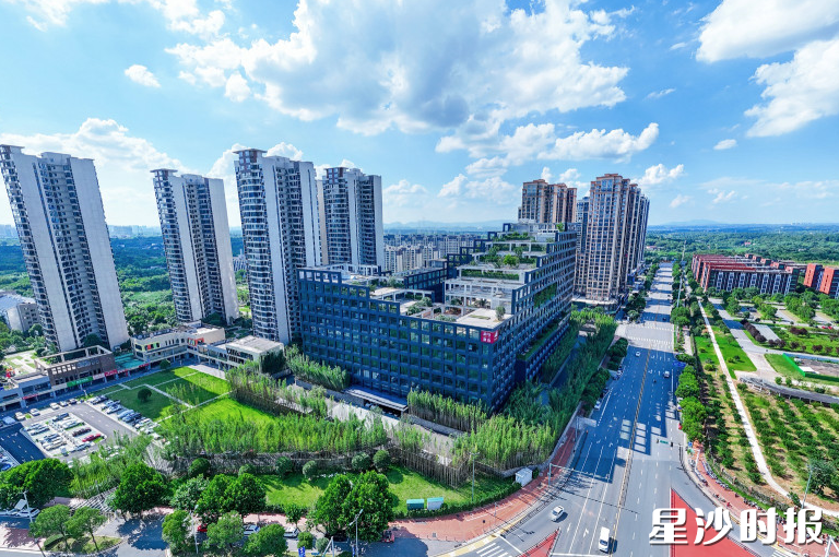长龙街道中南大学人工智能产业基地。 长龙街道中南大学人工智能产业基地。