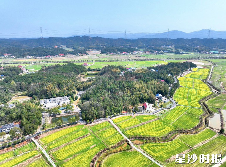 高桥镇维汉村小微水体管护样板片区建设顺利完成，有力提升了乡村人居环境。高桥镇供图