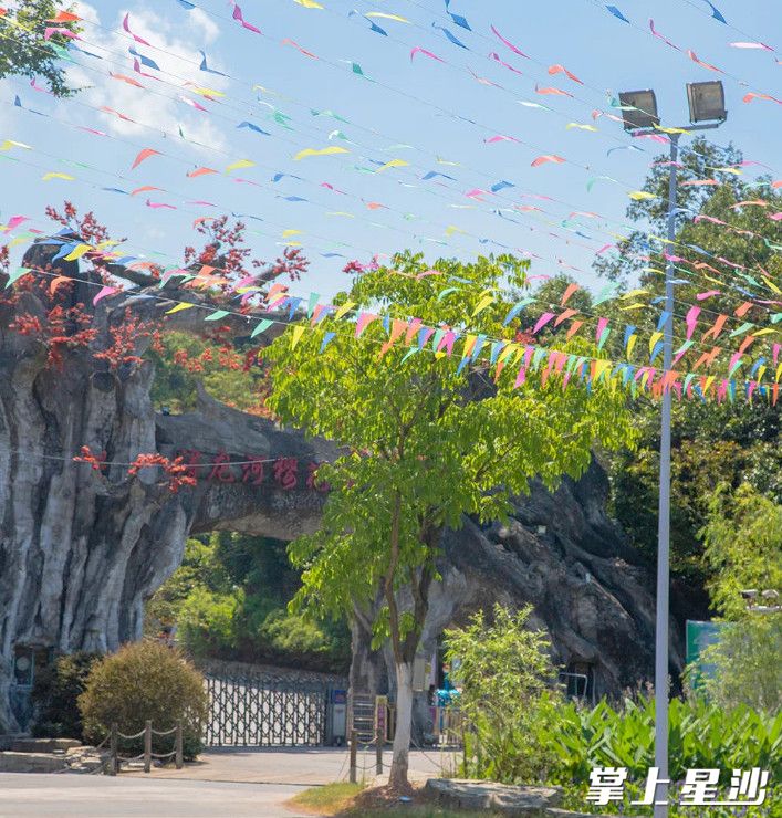 浔龙河樱花谷景区推出考
生免门票游活动，等你来嗨。