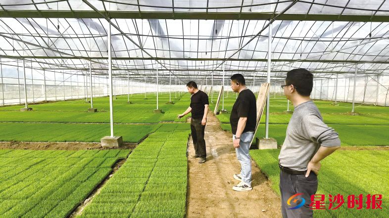 　　志霞农业引进的智能催芽暗室吸引了镇域内多数种粮大户前来参观学习，“手机种地”的新理念让这些“老把式”们感慨万千。金井镇供图
