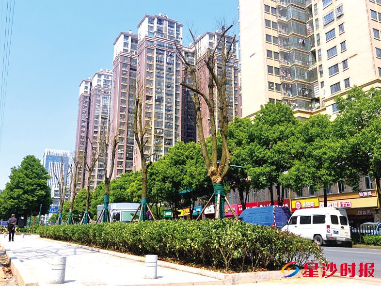 　　小塘路（漓湘路-高阳路）人行道修缮完毕后现场。　　杨欣雨 摄