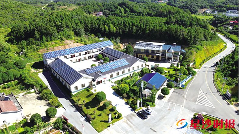 　　在新明村，曾经杂草丛生的农家小院，如今变成了果菜飘香、绿色满园的生态家园，为乡村振兴注入新活力。果园镇供图