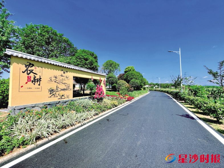　　长龙街道茶塘村公路提质，组级活动阵地、美丽庭院和生态菜园建设如火如荼，人居环境焕新颜。林畅 摄