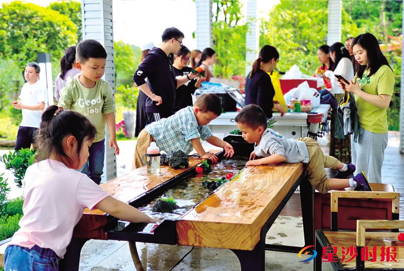 　　桐乐·影山居民宿得天独厚的自然风光、多元化体验，让游客享受到乡间度假生活。　　民宿供图