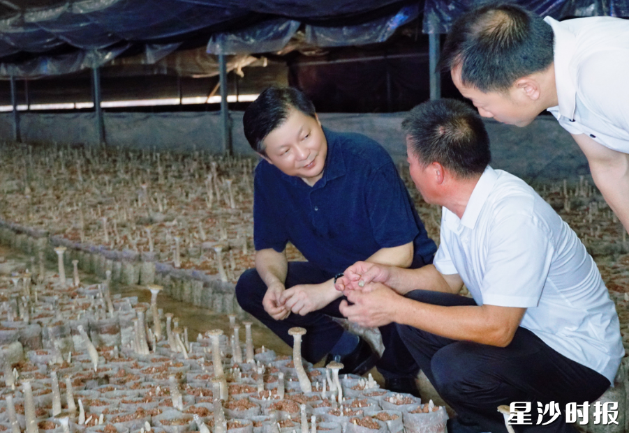 付旭明在湖南湘福翔食用菌股份有限公司，调研高桥镇产业帮扶及食用菌产业发展情况。