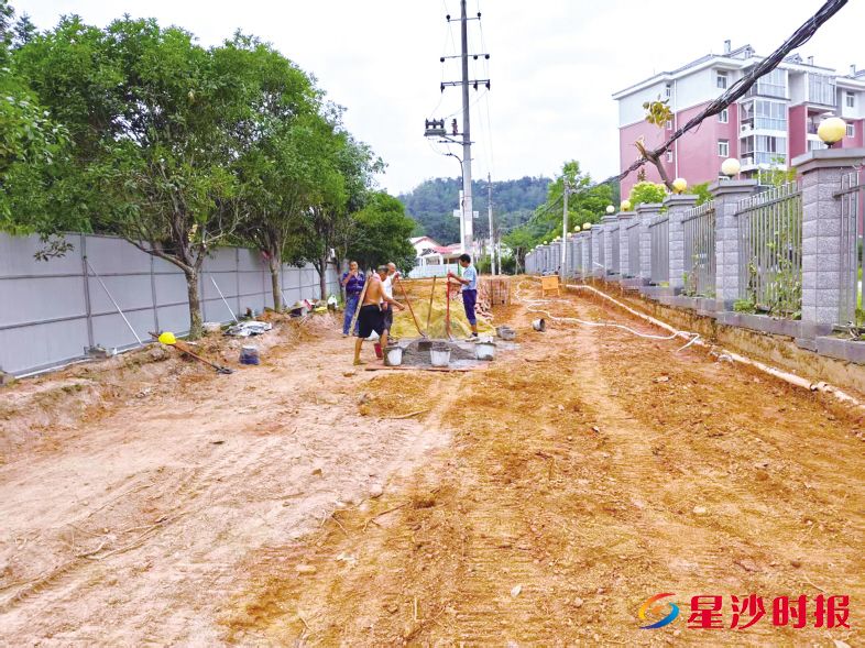 　　走进施工现场，土方清运工作正有序进行。未来，这里将呈现一幅“车在树下停，人在绿中行”的画面。金井镇供图