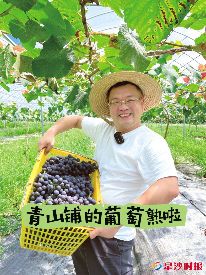　　长沙县供销社联合“星沙甄选”平台开展专场直播活动，图为甄选主播“炼哥”进行直播。　　星沙甄选供图