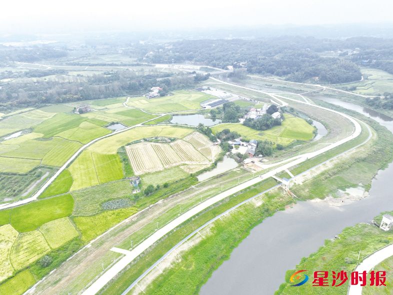 　　如今的白沙河畔，新砌的生态护坡绿草如茵，宽阔平整的堤岸坚固厚实。长沙县水利局供图