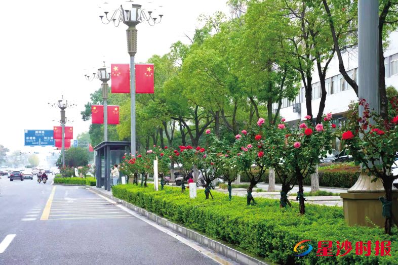 　　在星沙城区主次干道、广场公园、商业街区等重点区域，1.1万余面鲜红的国旗随风舒展。杨欣雨 摄