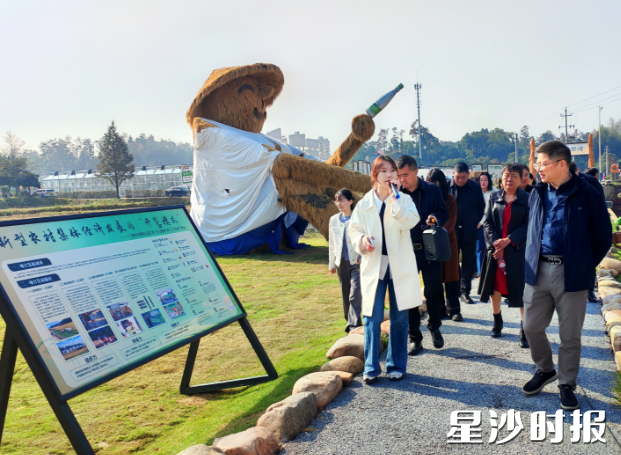 调研现场。长沙市生态环境局长沙县分局（县环委办）供图