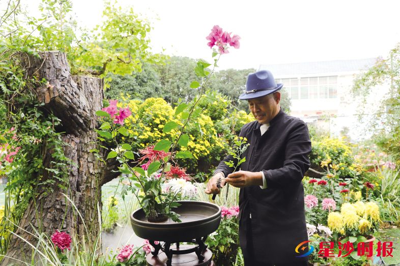 　　“湖湘花艺第一人”、湖南省花卉协会插花花艺分会会长黎佩龙正在制作插花作品。　　阮霖浩 摄