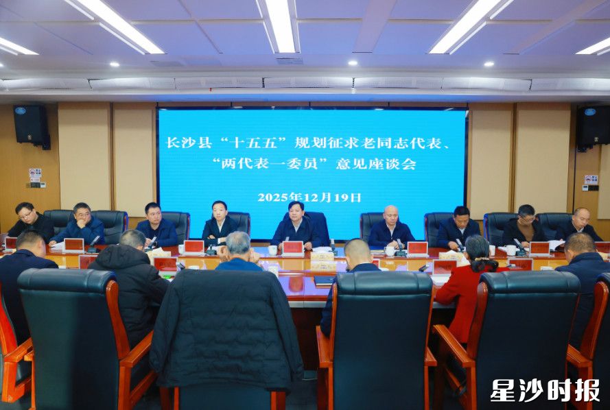 座谈会现场。董坤 摄