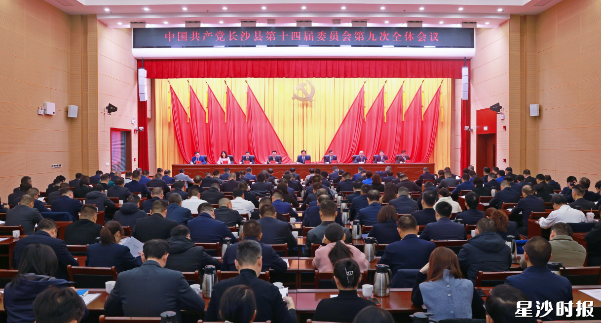 会议现场。董坤 摄