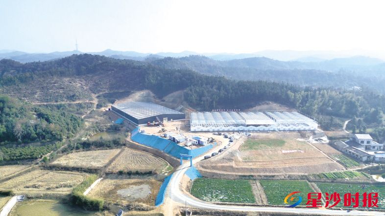 　　蝴蝶兰种苗繁育基地项目是春华镇今年新引进的种业产业项目，总投资2000万元，占地30亩。　　刘思源 摄