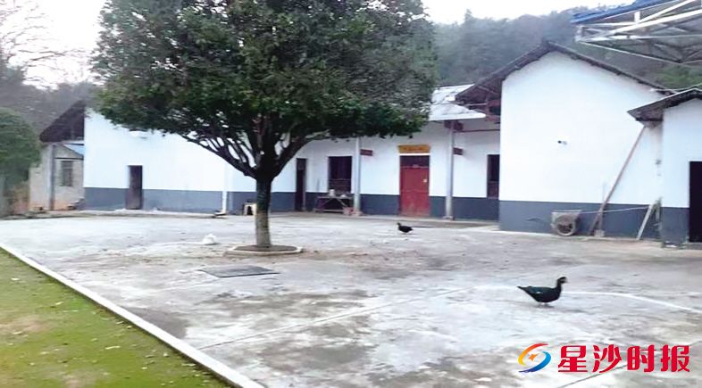 　　改造前的老宅。