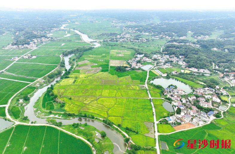 　　麻林河发源于开慧镇石燕村，流经开慧镇、福临镇、青山铺镇、路口镇、果园镇5个镇15个村（社区）。资料图片