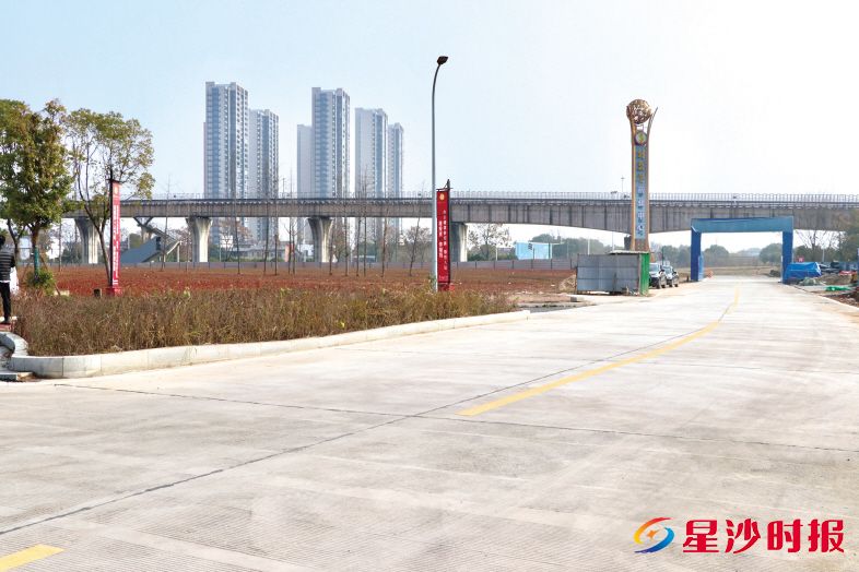 经过两个月连续作业,秋江路南侧临时便道于2025年底建成通车,实现“货车不堵家长、客流不堵居民”。赵佳慧 摄