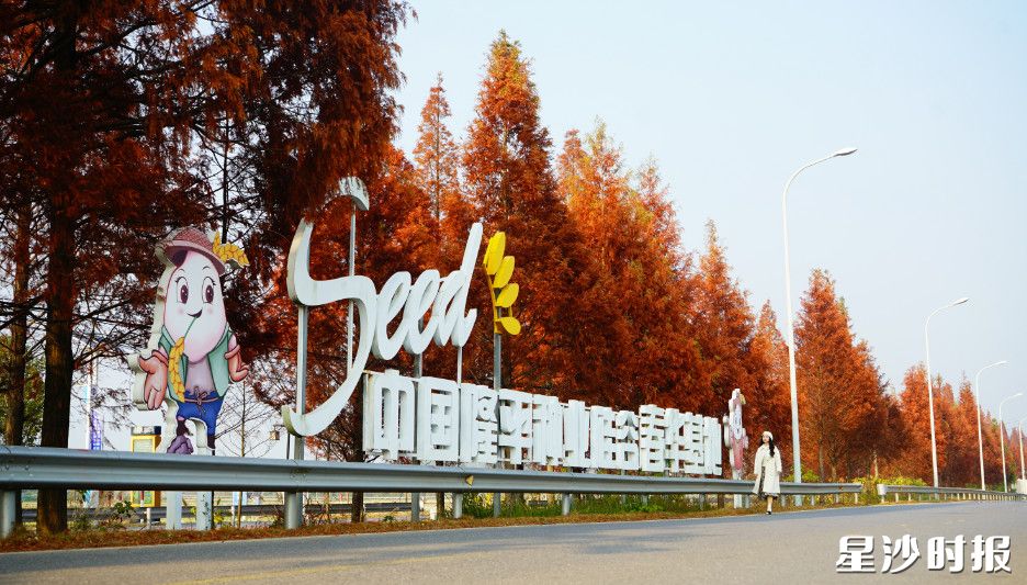 中国隆平种业硅谷春华基地。企业供图