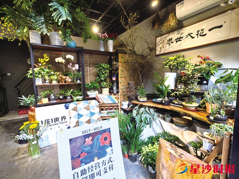 　　无人值守花店内，各色鲜花与盆栽整齐陈列。　　商家供图