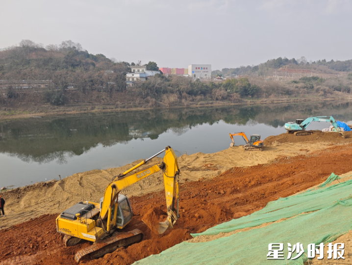 敢胜垸堤防达标项目施工现场，多台挖掘机挥舞铁臂，精准转运土方、修整堤坡。杨源 摄