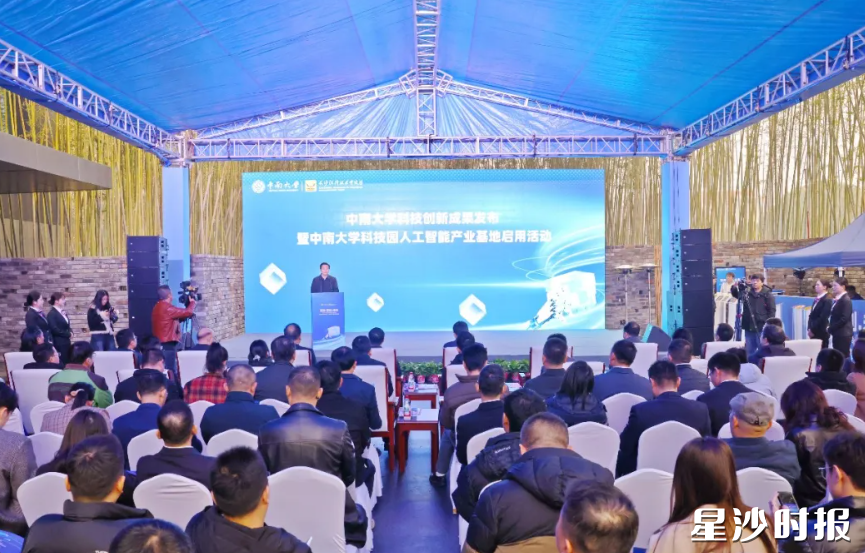 活动现场。均为曾诗怡 摄