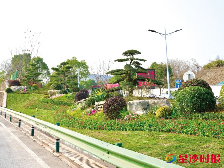 　　机场大道沿线清除了老旧绿篱，蜕变为层次丰富、景致雅致的迎宾景观带。杨欣雨 摄