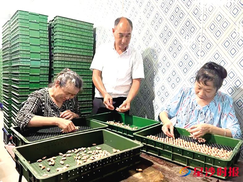 　　高桥镇白石源村建设冷库，发展花生苗种植特色农业项目。杨源 摄