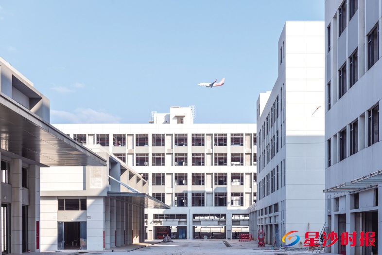 玉湖冷链项目将极大提升长沙口岸的冷链货物吞吐能力,助力“湘品出海”与“优品入湘”。 刘思源 摄