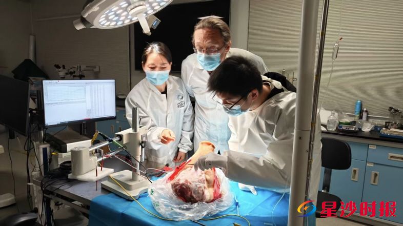 　　微智医疗中外技术团队正在进行项目实验。  资料图片