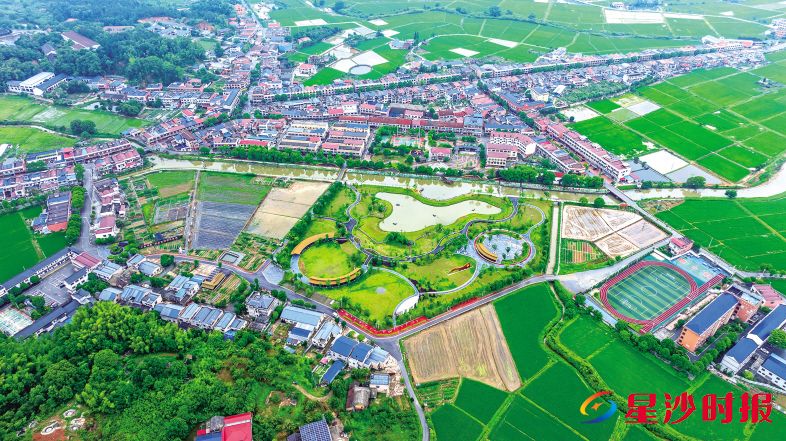 金井镇正以粮仓丰、产业旺、生态美、百姓安为笔墨,从容铺展着一幅新时代宜居宜业和美乡村的壮丽画卷。 金井镇供图