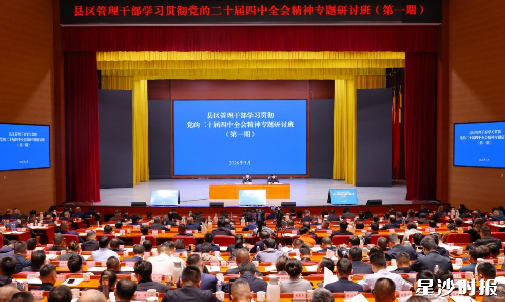 会议现场。均为曾诗怡 摄