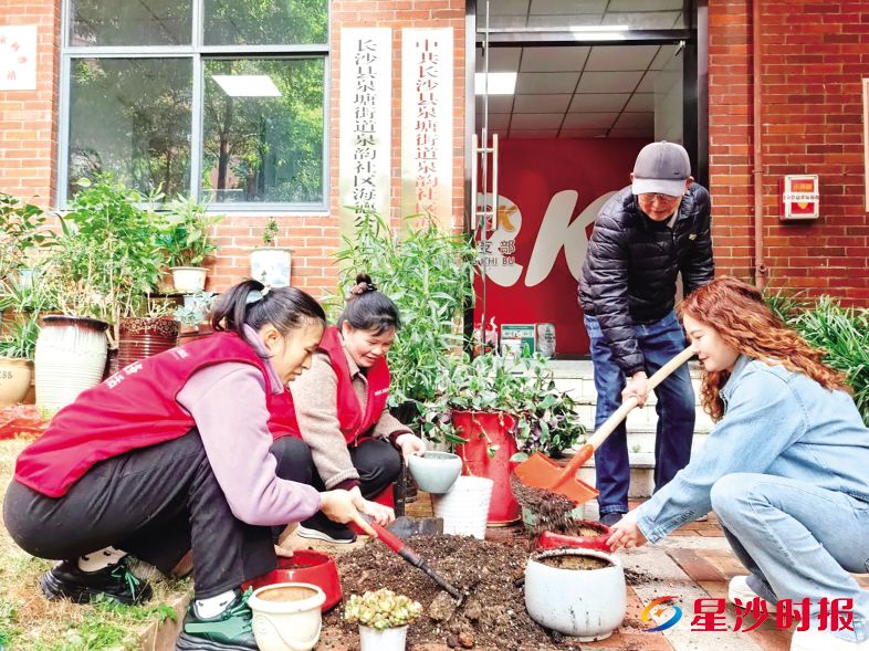 　　在泉塘街道海德公元小区“共享花园”，志愿者们为花盆添上泥土，并逐一栽上绿植和花卉。泉塘街道供图