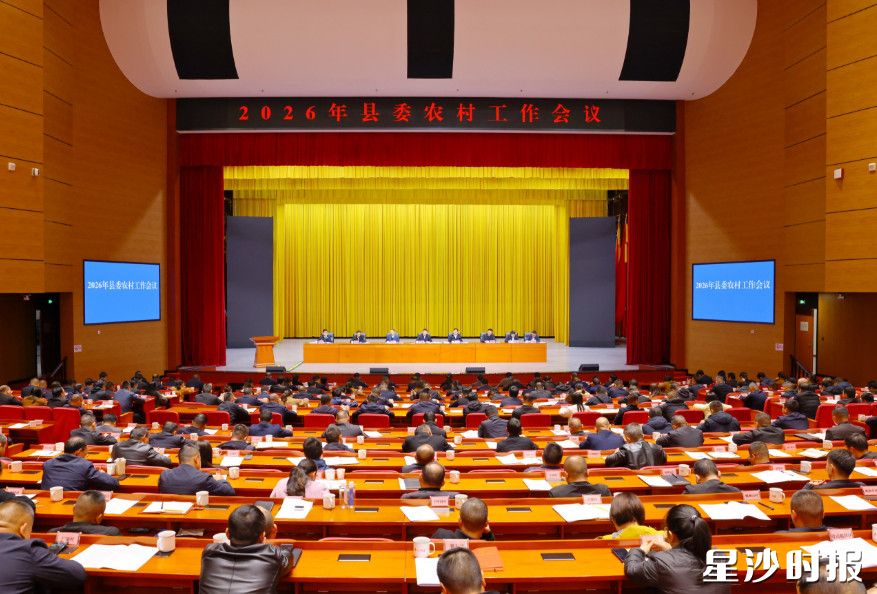 会议现场。均为曾诗怡 摄