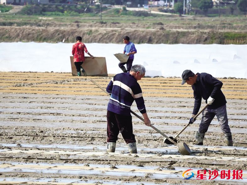 在果园镇杨泗庙社区高标准农田,农户们抢抓农时开展春耕备耕。杨源 摄