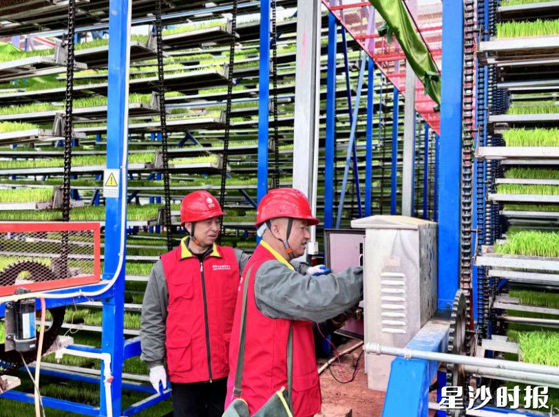 电雷锋在春华镇育秧工厂。杨源 摄