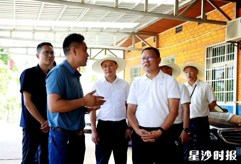 视察组在大家赢农业科技发展有限公司基地了解产业经营情况。 视察组在大家赢农业科技发展有限公司基地了解产业经营情况。