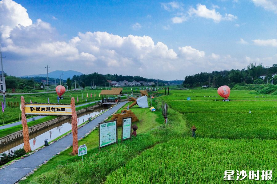 开慧镇开慧村“我在开慧有丘田”打卡点。 开慧镇开慧村“我在开慧有丘田”打卡点。