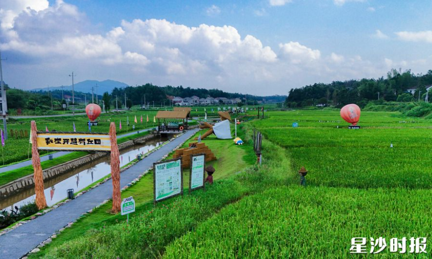 开慧镇开慧村“我在开慧有丘田”打卡点。章帝 摄