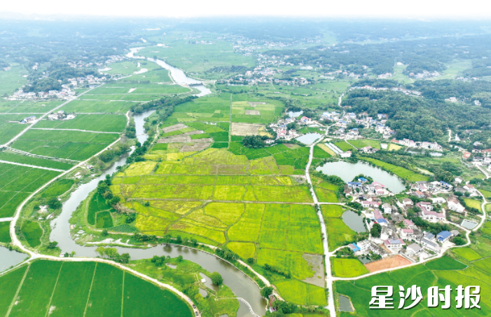 长沙县以河湖长制为引领,坚持精准治污、生态治理、项目融合,实现曾经的“纳污河”蜕变为水清岸绿、人水和谐“幸福河”的治理历程。资料图片 长沙县以河湖长制为引领,坚持精准治污、生态治理、项目融合,实现曾经的“纳污河”蜕变为水清岸绿、人水和谐“幸福河”的治理历程。资料图片