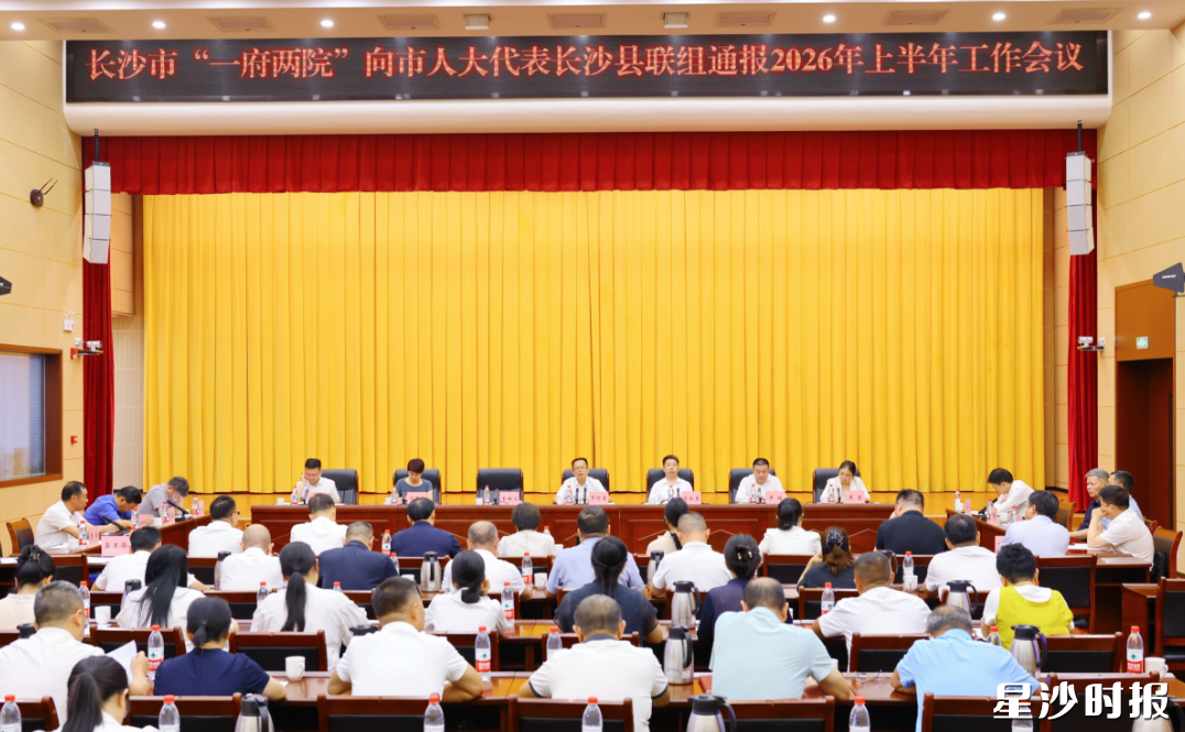 会议现场。均为曾诗怡 摄