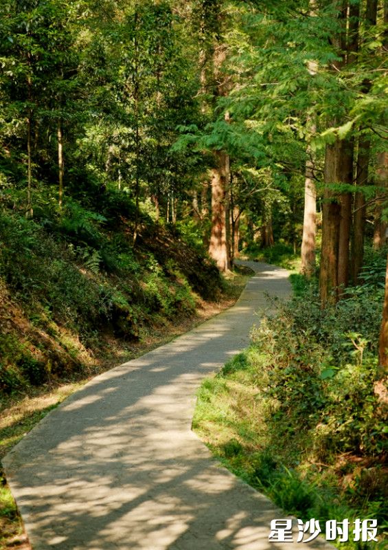路口镇大山冲森林公园林木葱郁、溪流潺潺,不少市民奔赴这里,穿行林间步道,沉浸式畅享天然氧吧。资料图片 路口镇大山冲森林公园林木葱郁、溪流潺潺,不少市民奔赴这里,穿行林间步道,沉浸式畅享天然氧吧。资料图片